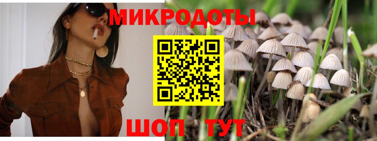 Псилоцибиновые грибы Psilocybine cubensis Сатка