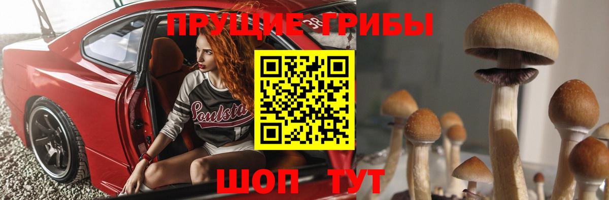 Галлюциногенные грибы Cubensis  Вход с VPN  Сатка 